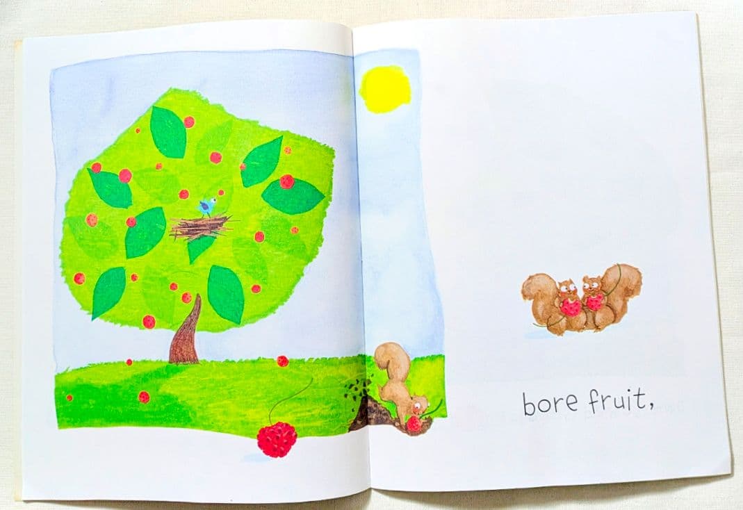 確認用◆洋書☆オススメ 英語絵本『A Grand Old Tree』◆