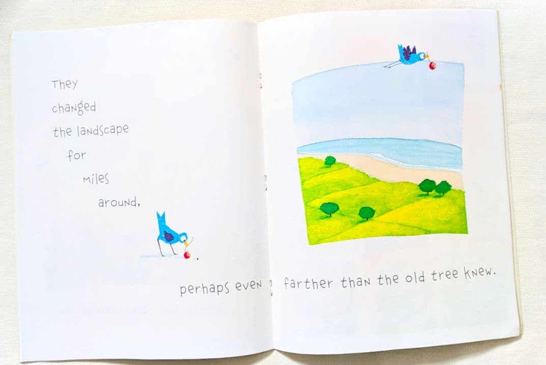 確認用◆洋書☆オススメ 英語絵本『A Grand Old Tree』◆