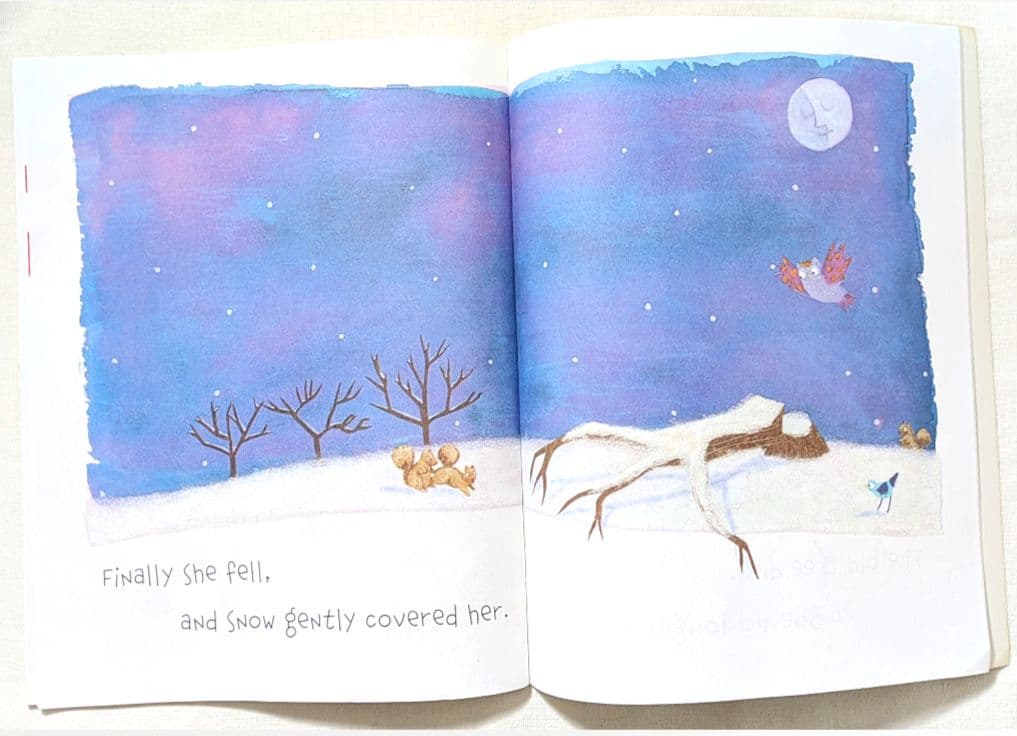 確認用◆洋書☆オススメ 英語絵本『A Grand Old Tree』◆