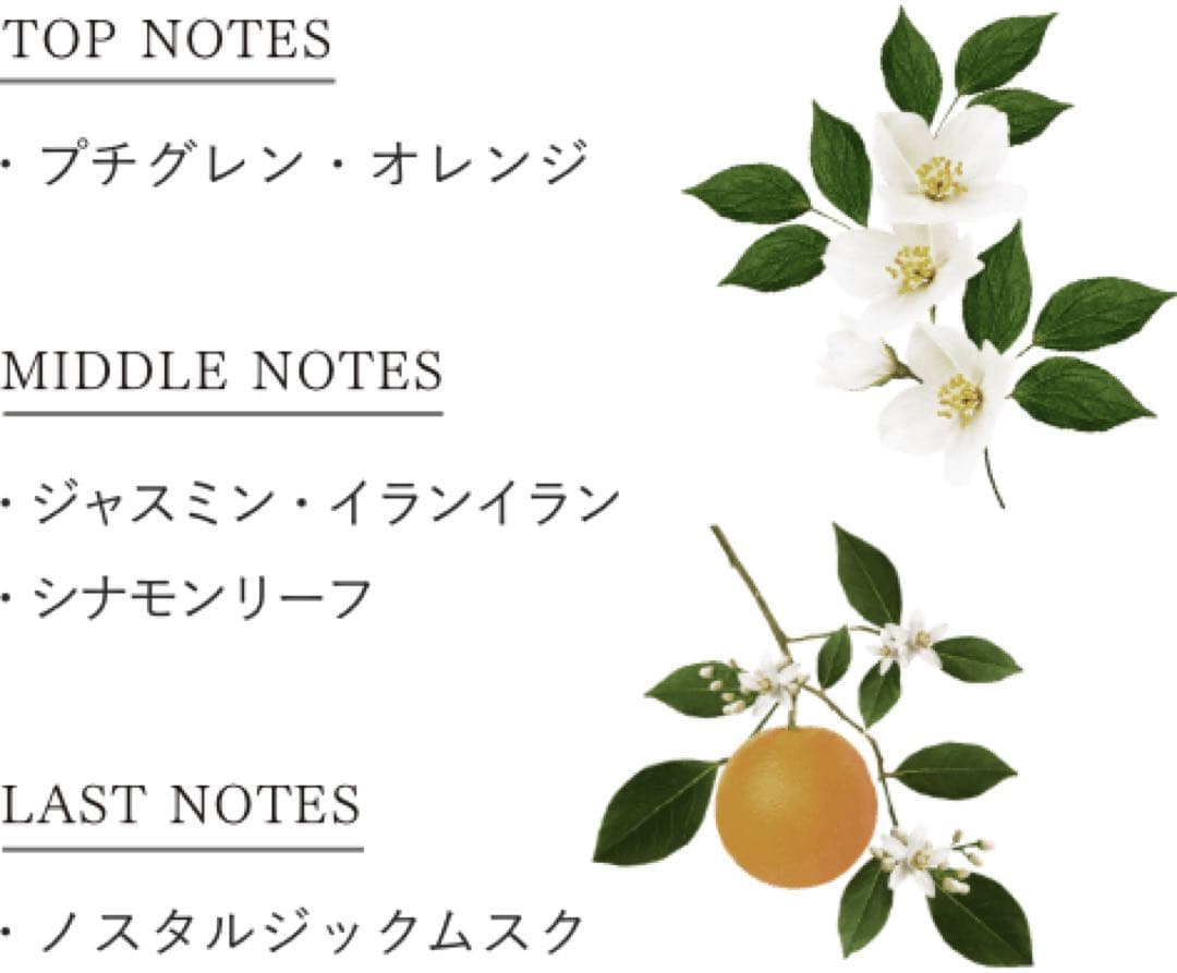 【新品未開封】AKNIR シャンプートリートメントスカルプセラム(ドロッパー付)