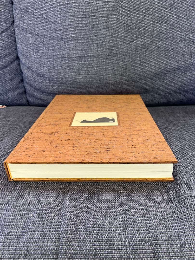 1979年初版】岩田専太郎 さしえ画集 司馬遼太郎 武蔵野次郎 美術本