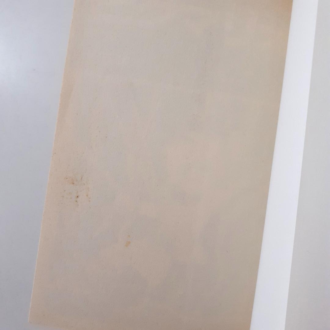 ピグマリオ　全27巻　和田慎二