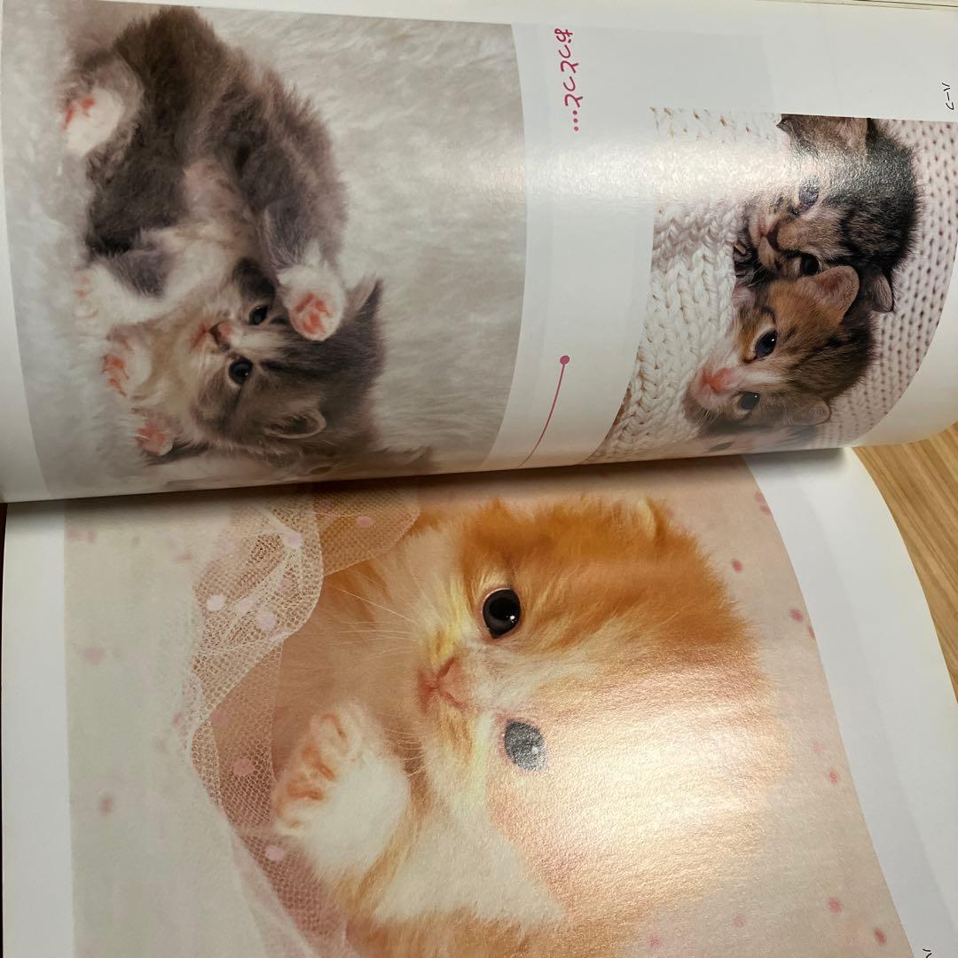 子猫の大行進 写真集