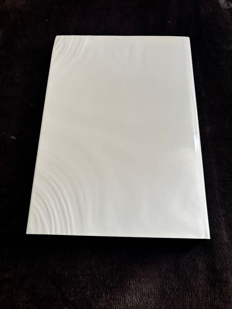 Joseph Beuys/skulpturen und objekte希少洋書