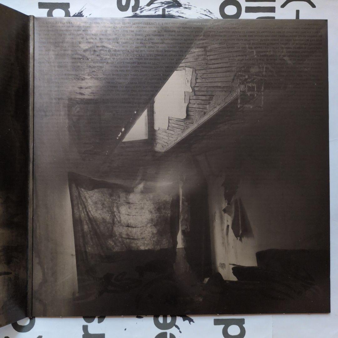 中古 dàlek - Abandoned Language 2LP