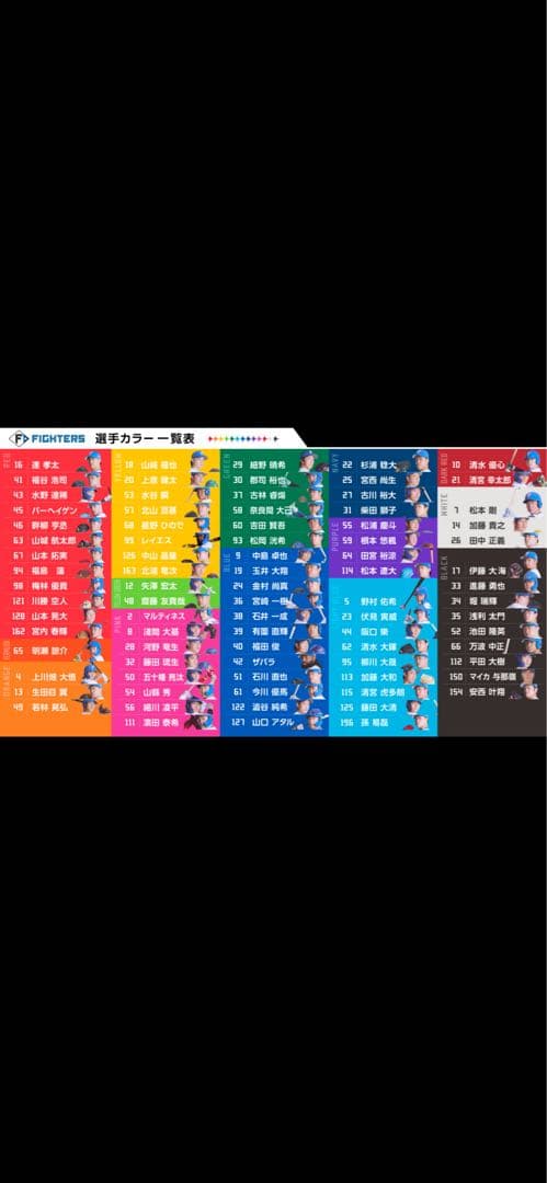 【新品】北海道日本ハムファイターズ FAVオリジナル限定パーカー　Lサイズ