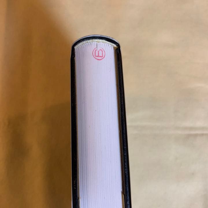 チェーホフの風景　写真　図版