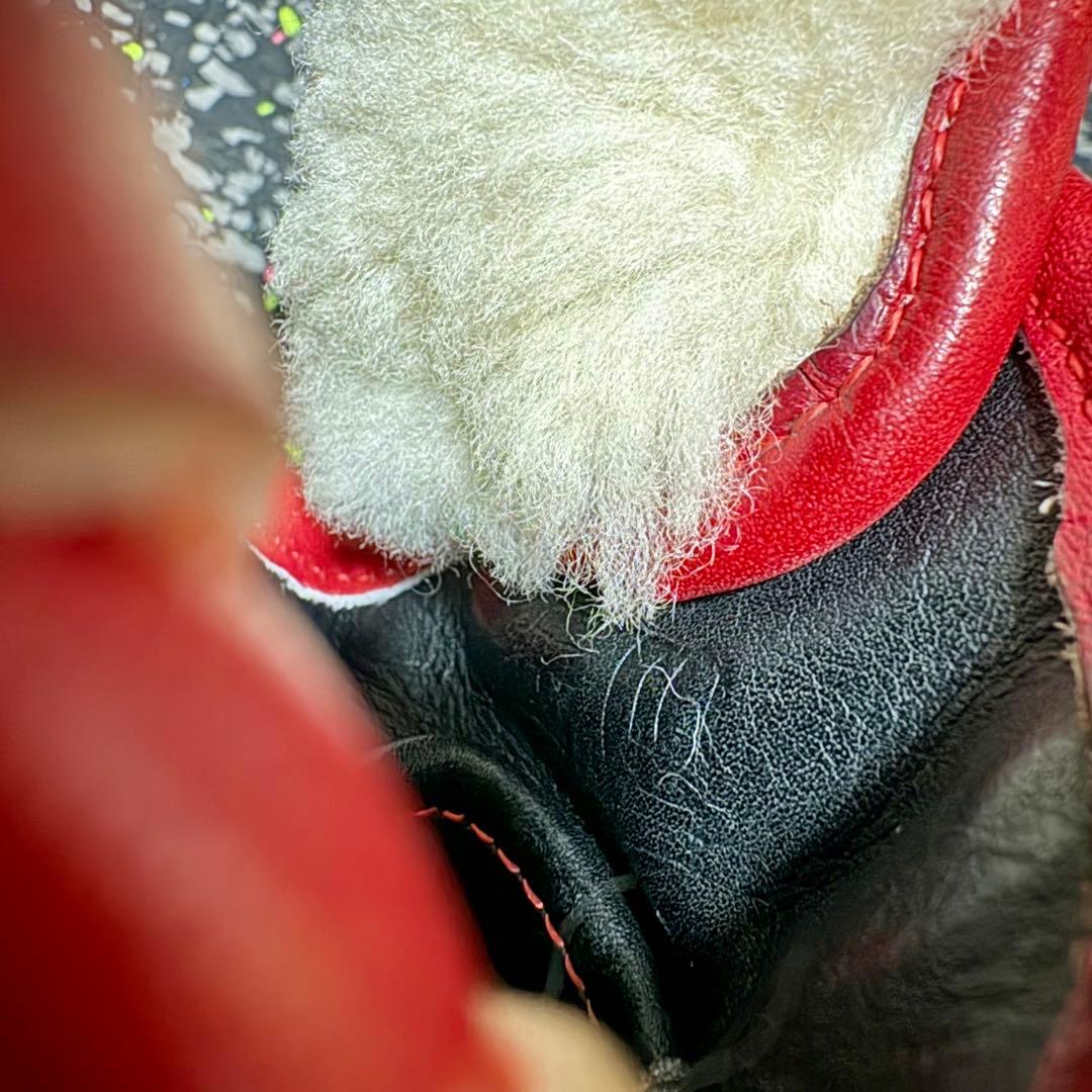 ミズノプロ オプション オーダー 日本製 プラチナラベル HAGA JAPAN