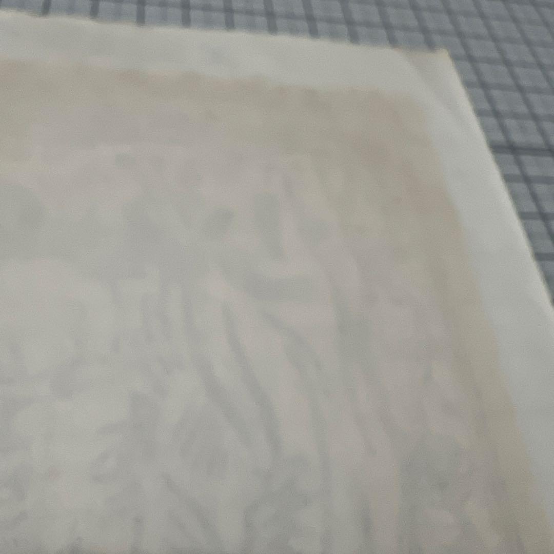 須山公美子　須山久美子　少女の憧れ　衛生博覧会ジャケット　太田螢一　変身キリン