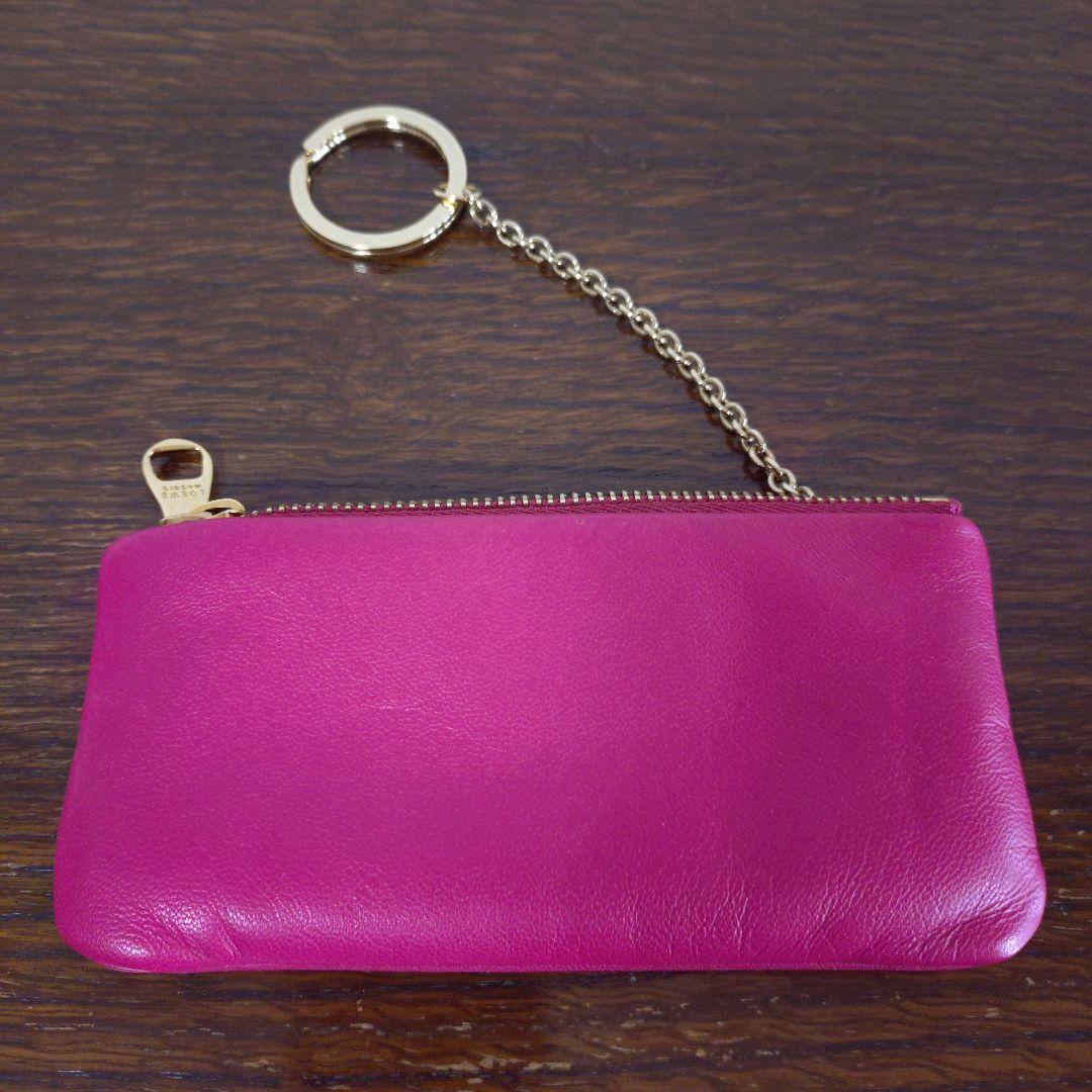 LOEWE　ロエベ　キーケース　ケース