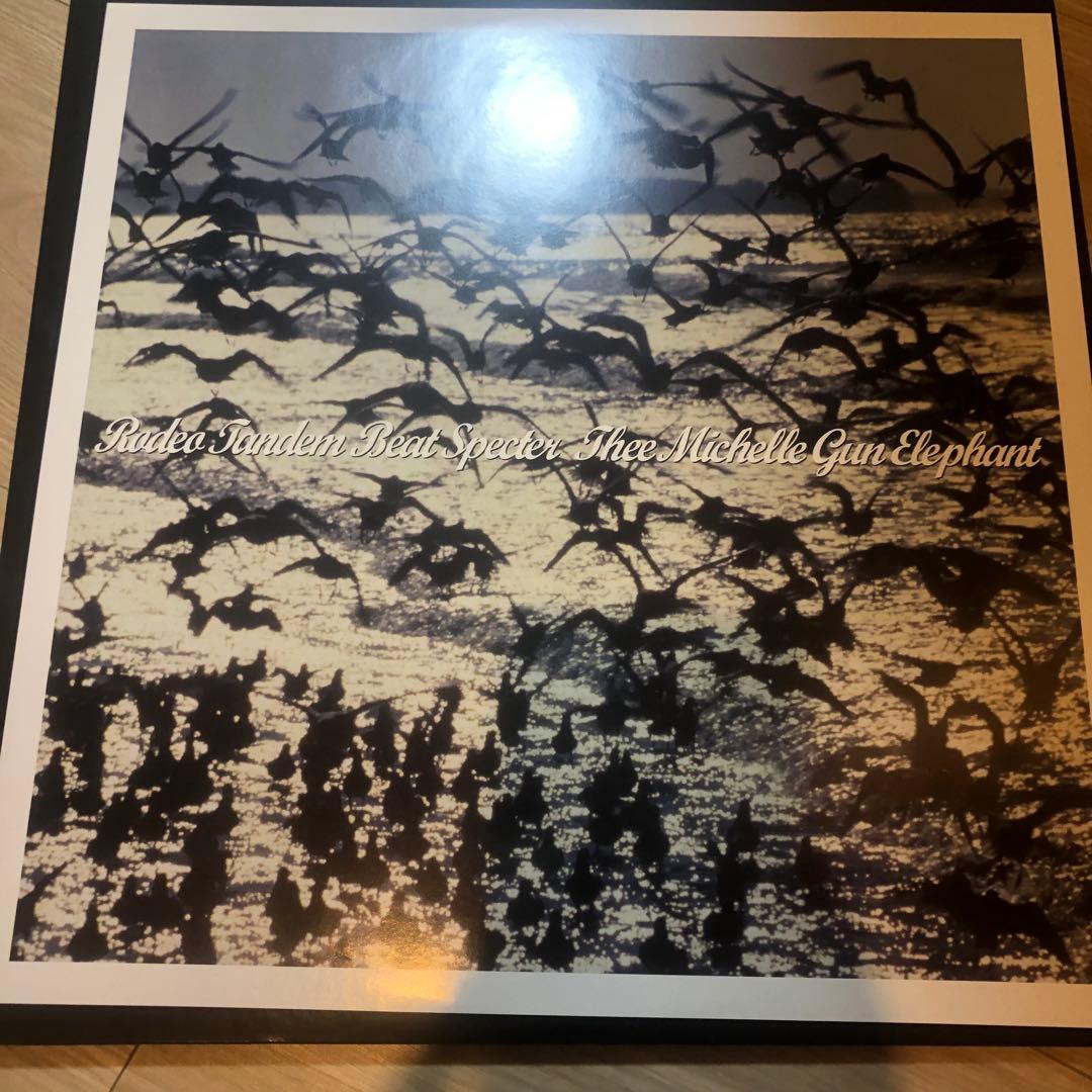 ロデオタンデムビートスペクター　レコード　LP ミッシェル　TMGE