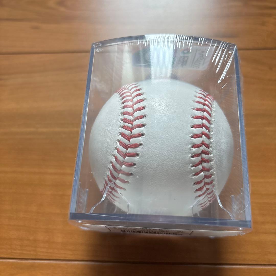 2026 WBC 公式試合球 ケース入り 侍ジャパン