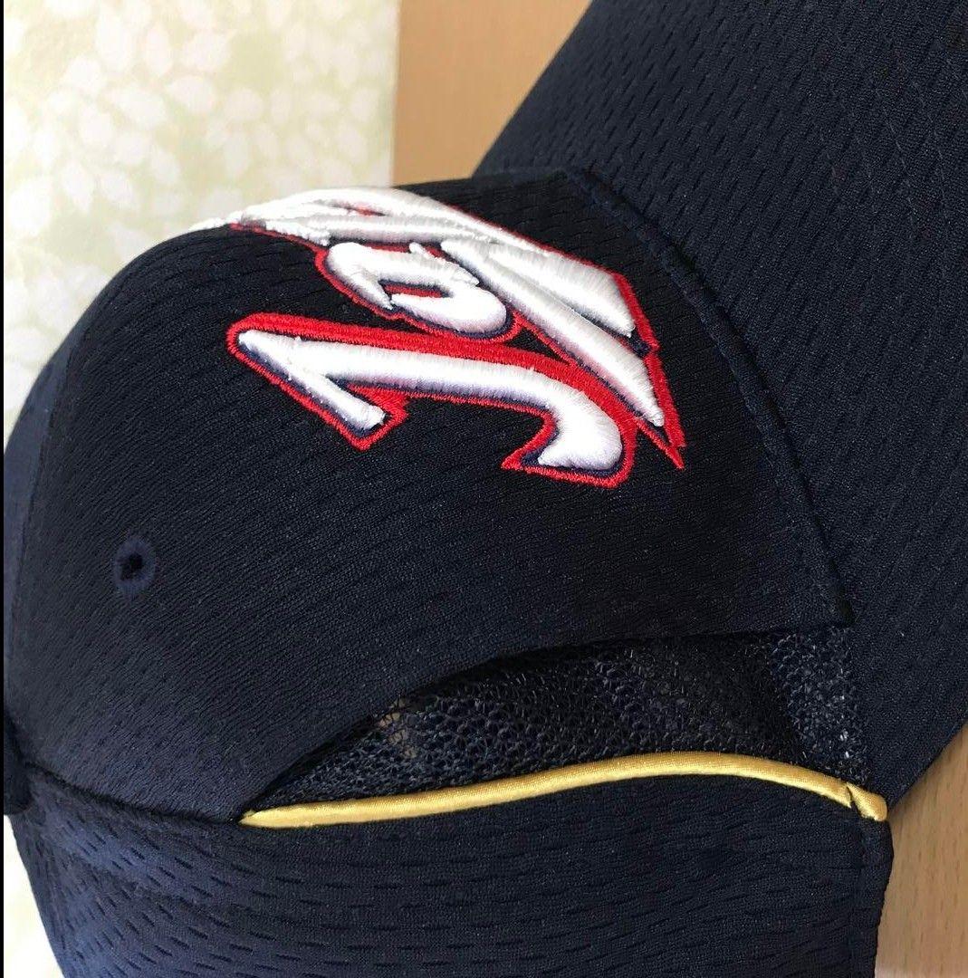 MIZUNOPRO ジャパン 日本代表 ミズノプロ JAPAN プロコレクション