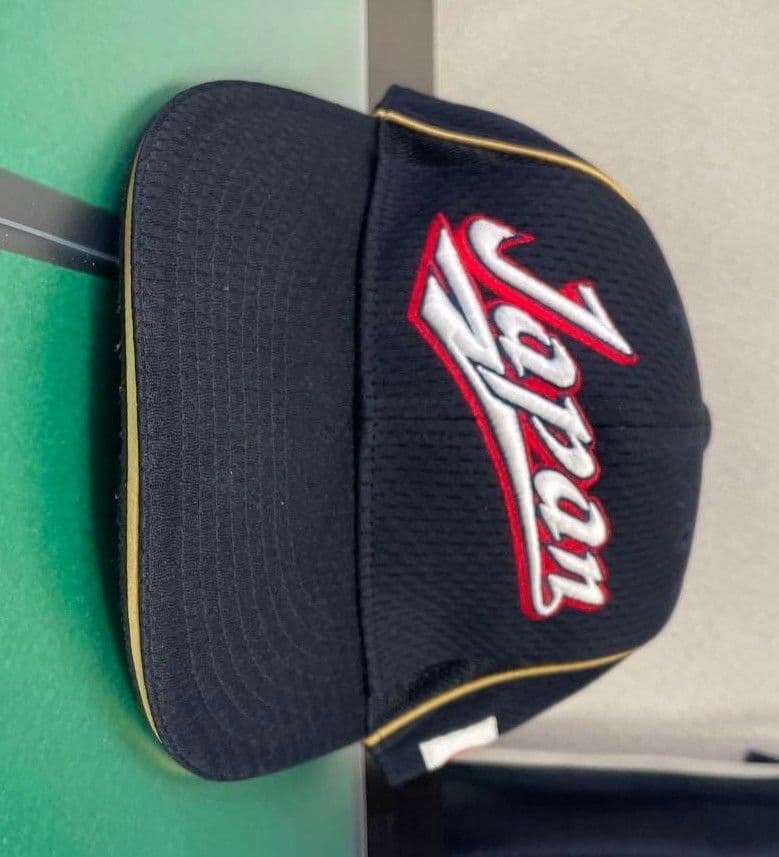 MIZUNOPRO ジャパン 日本代表 ミズノプロ JAPAN プロコレクション