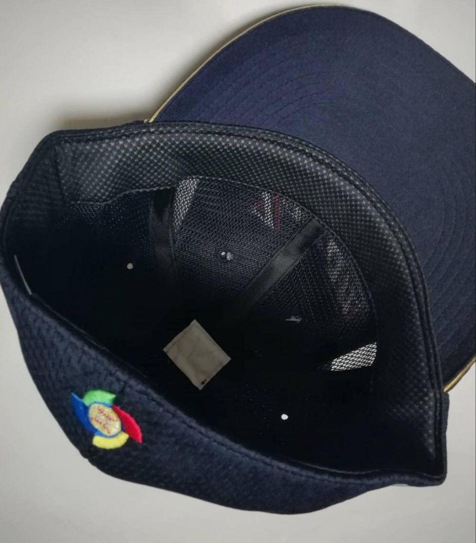 MIZUNOPRO ジャパン 日本代表 ミズノプロ JAPAN プロコレクション