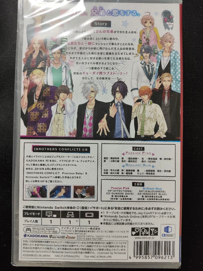 Nintendo Switch BROTHERS CONFLICT Precious Baby Switch