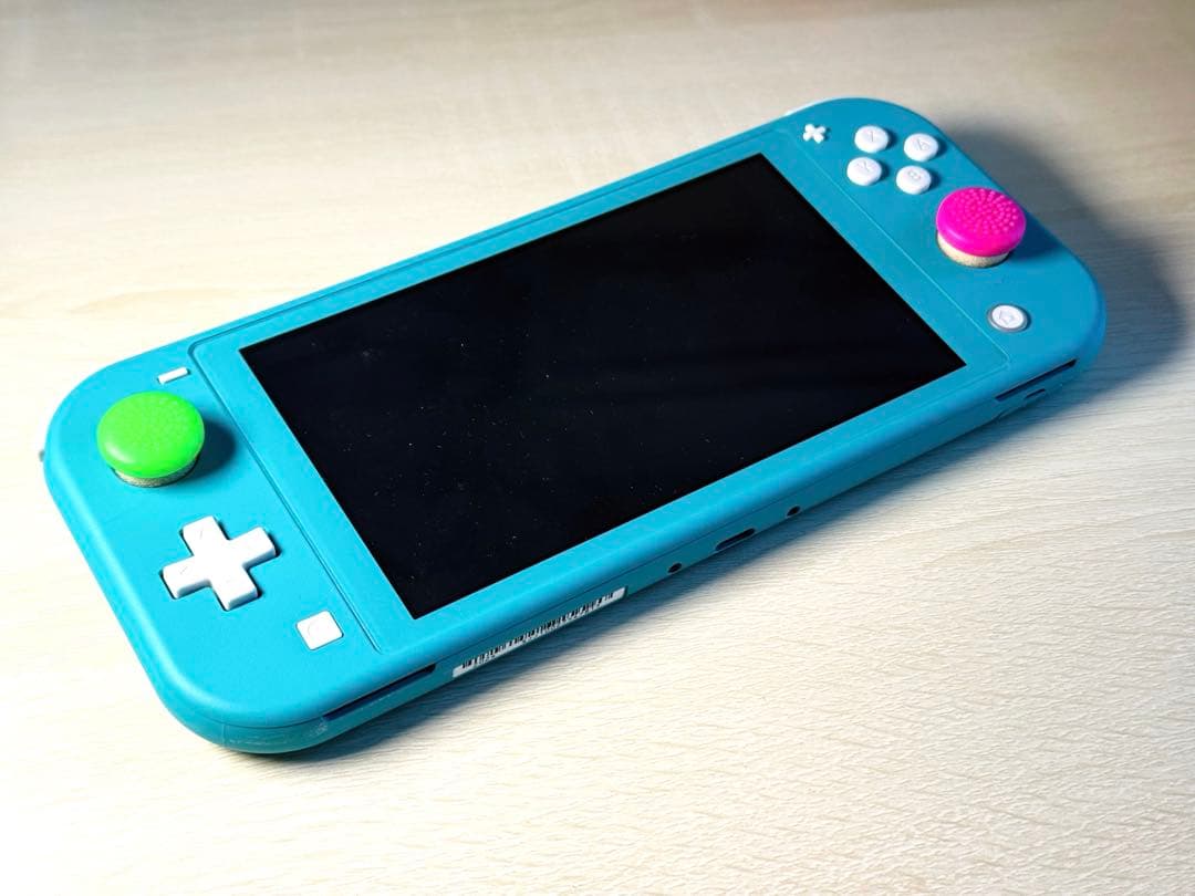 Nintendo Switch Lite + ケース（保護フィルム使用）