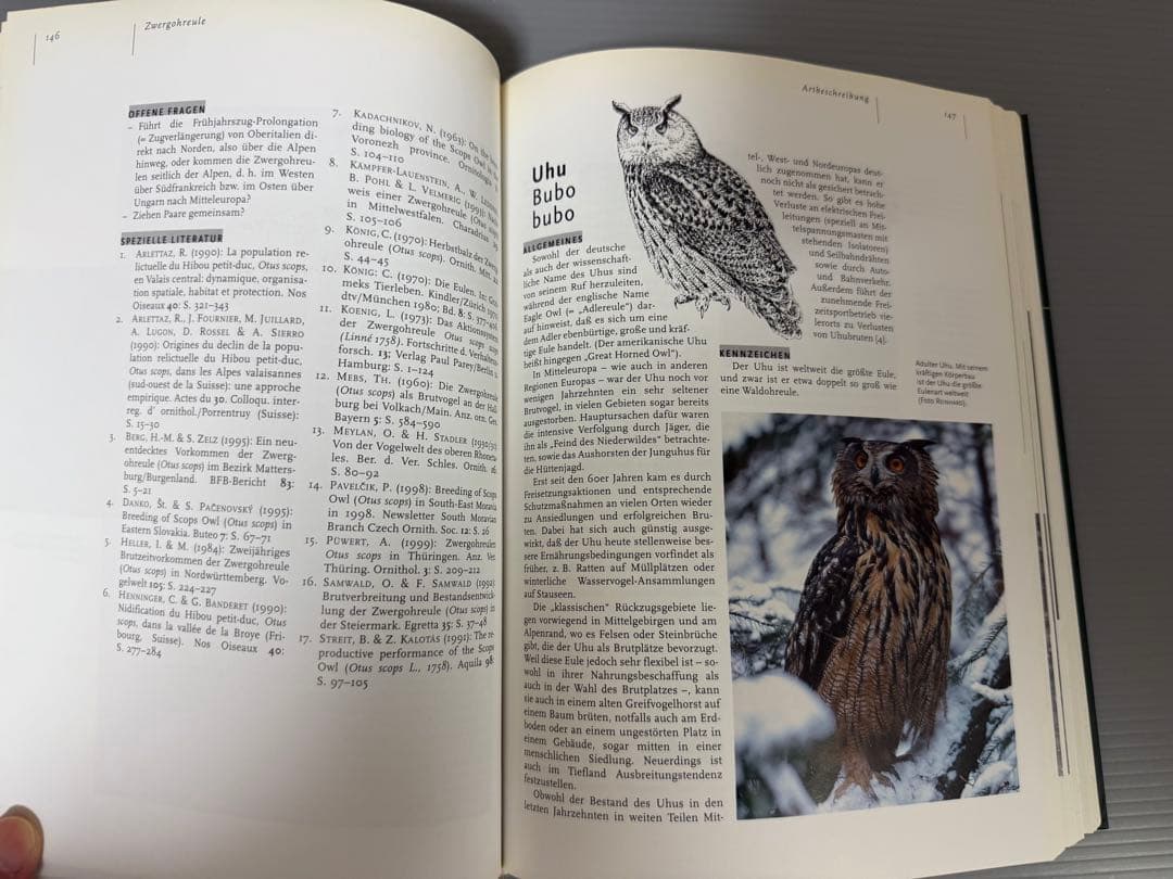 Mebs／Scherzinger★Die Eulen Europas★フクロウ