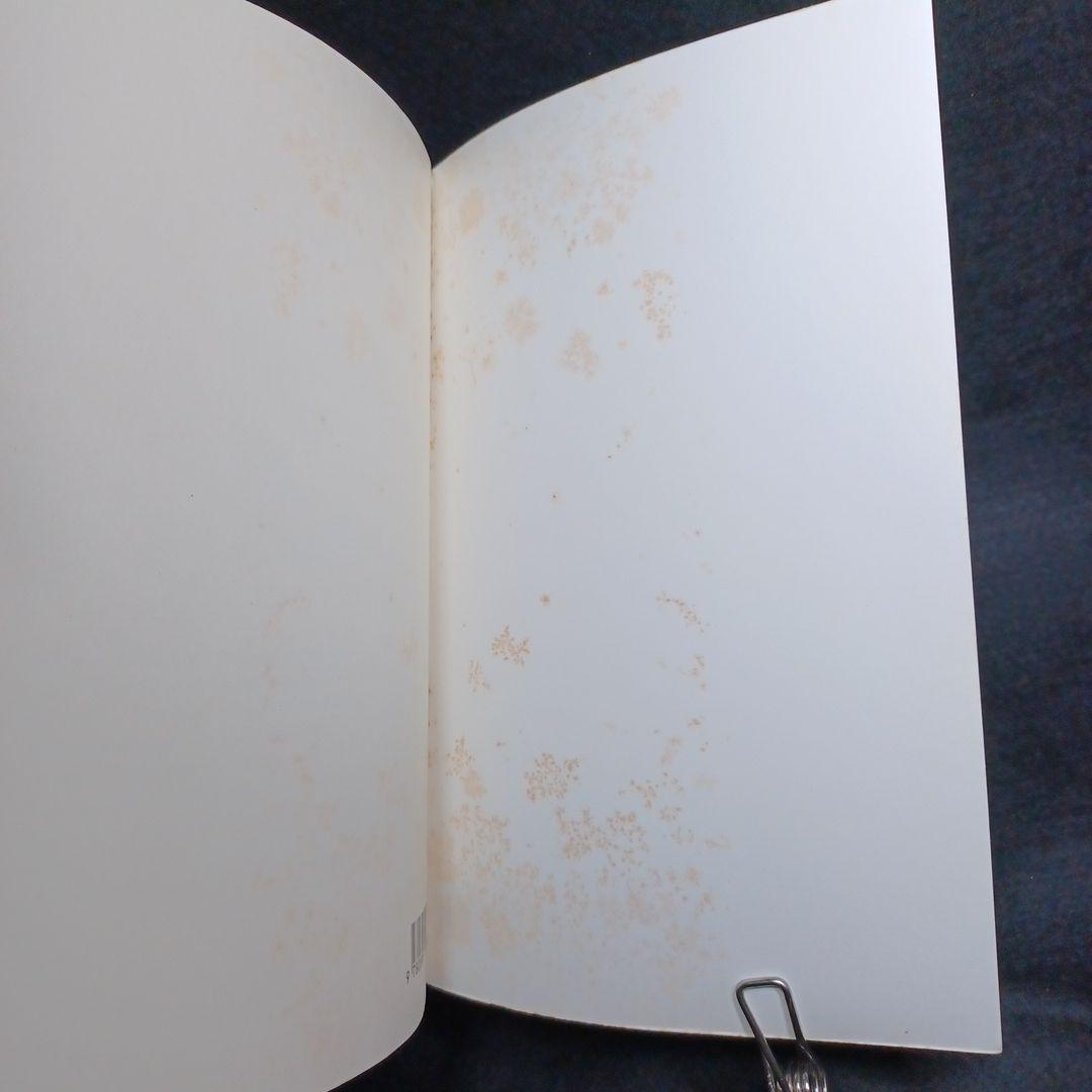 382_★洋書★『The Dragon Healer』 A. D. Adams