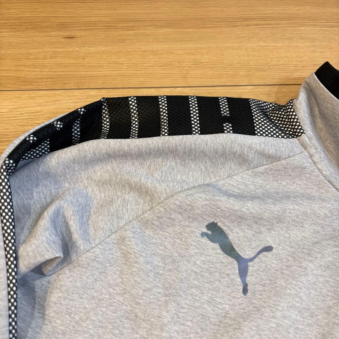 新品　PUMA プーマ　トレーニングウェア　ジャージ上下セット
