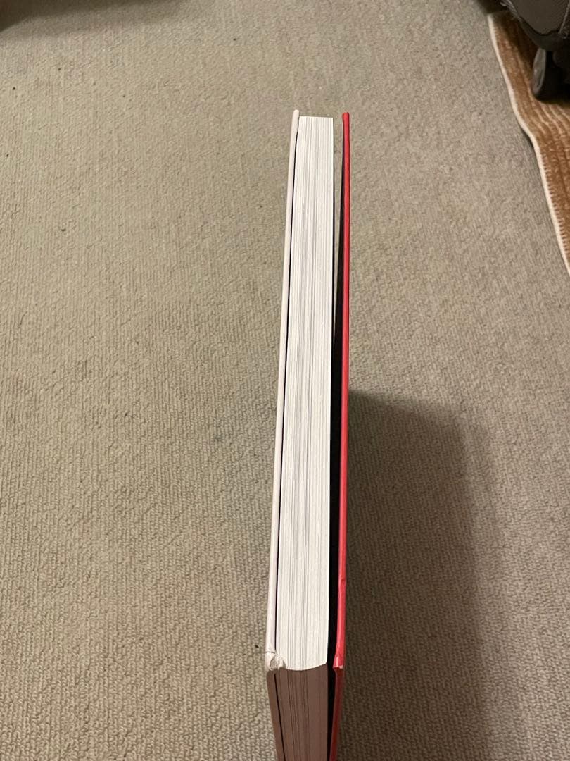 アートブック ブルースナウマン Bruce Nauman LIVE OR DIE