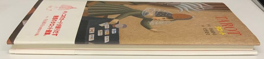 画集「タロット」TAROT 大竹 茂夫 Shigeo Otake