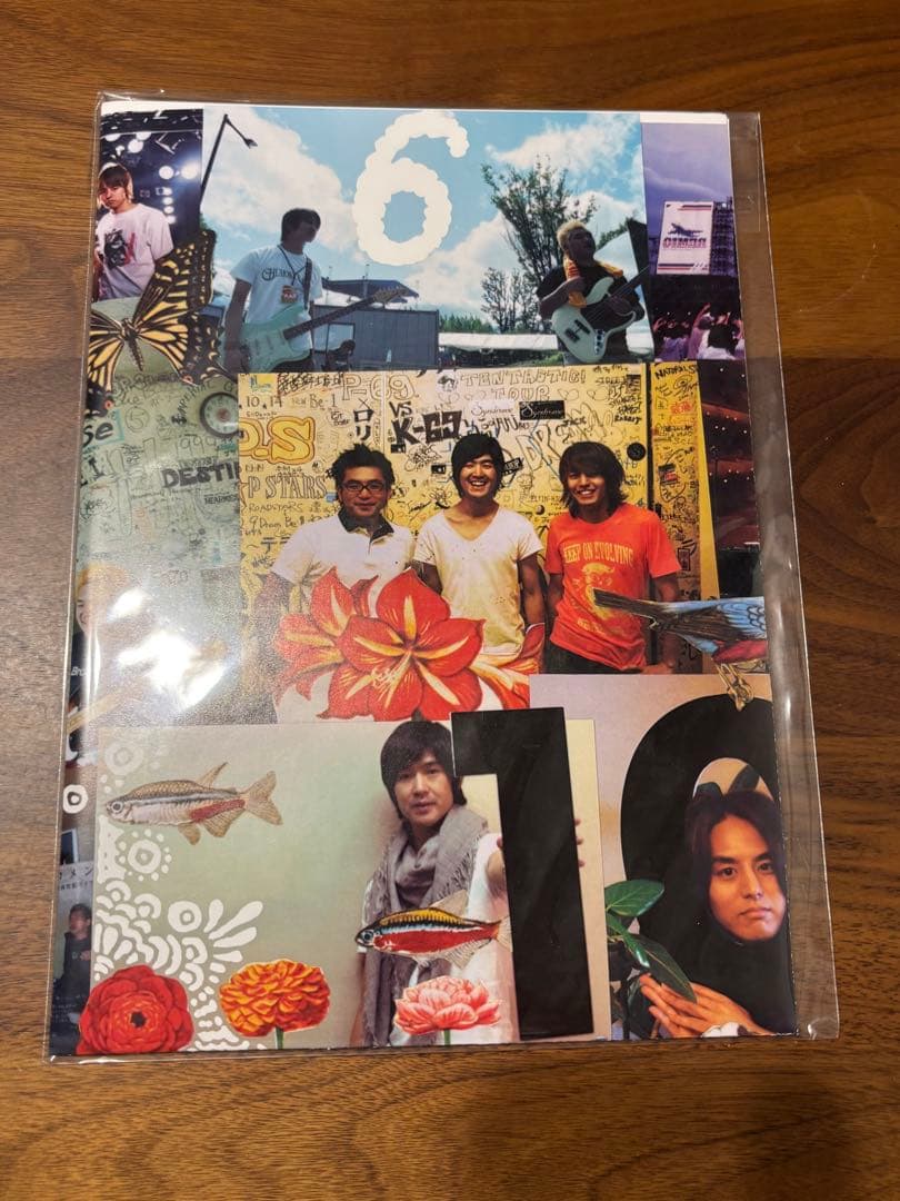 希少 初回受注限定生産 レミオロメン 10th ANNIVERSARY BOX