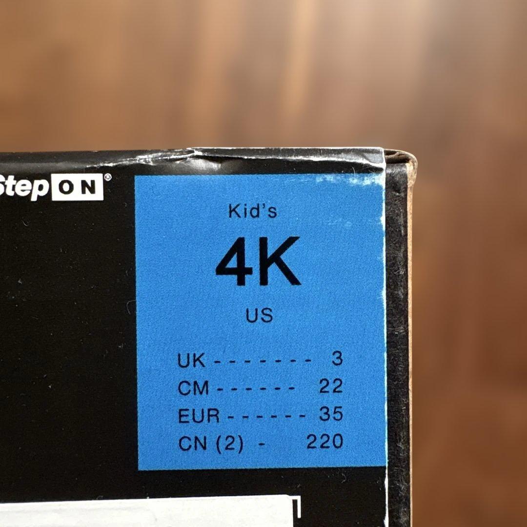 Burton Step On スノーボードブーツ ブラック　22センチ