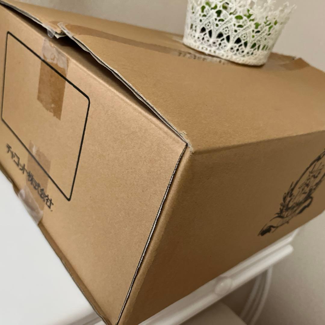 Chacott チャコット❣️『クラッシック　ボン（Lサイズ）』日本製