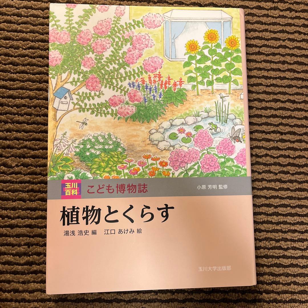 カ*郎様 玉川大学出版部 こども博物誌全12巻 辞典 読書 学校 図書 受験 勉