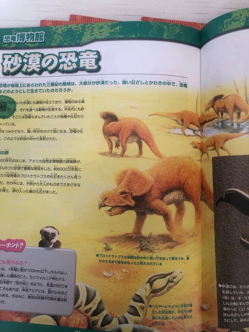 Disney Dinosaur 1巻〜21巻セット