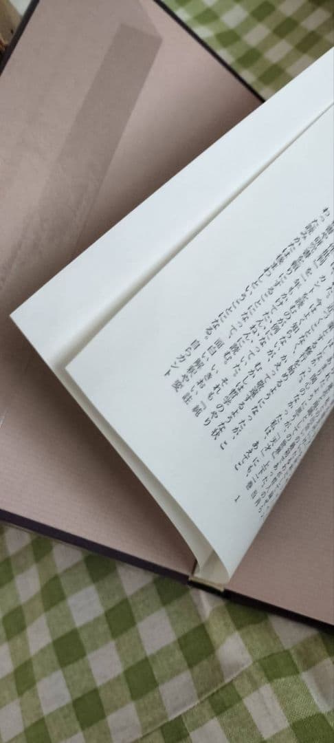 ショーペンハウアー全集　14冊