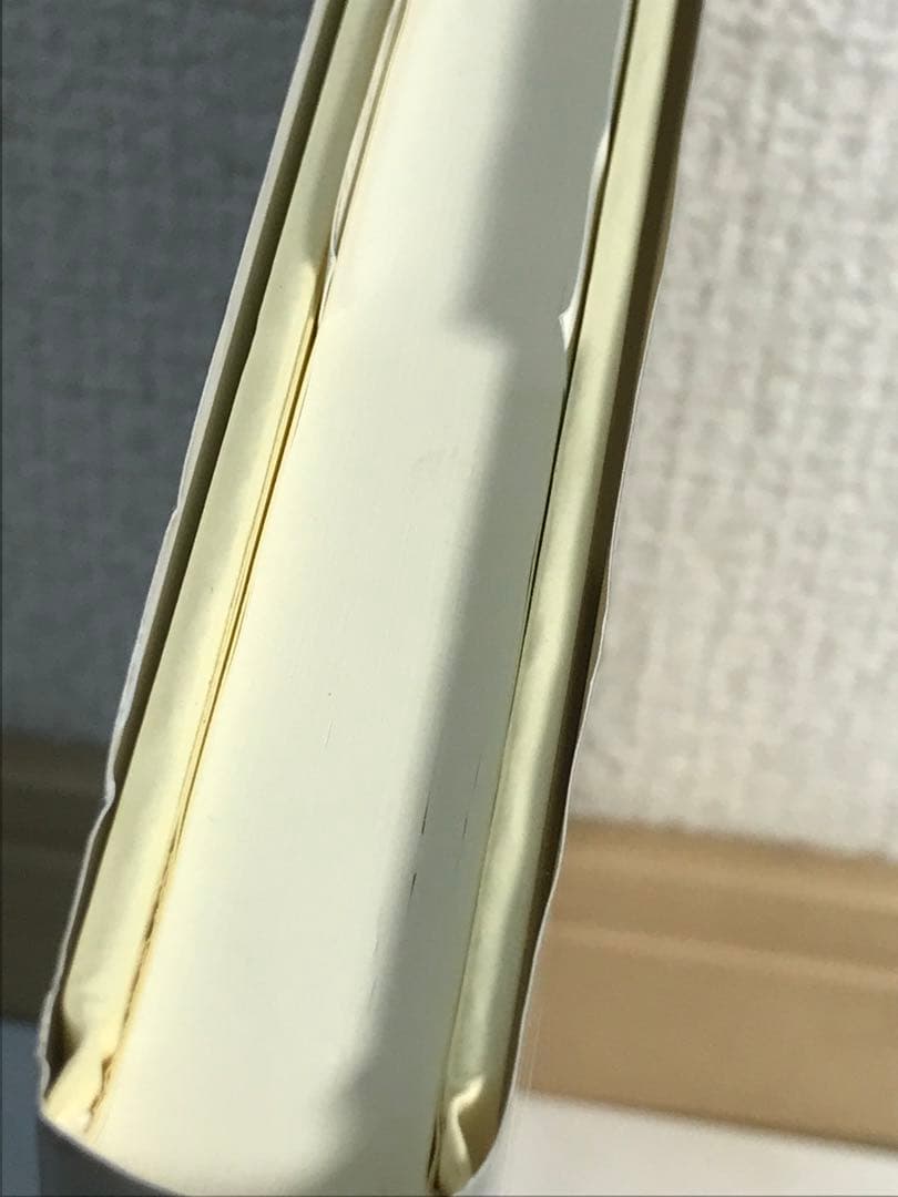 ハイデッガー全集 40 形而上学入門