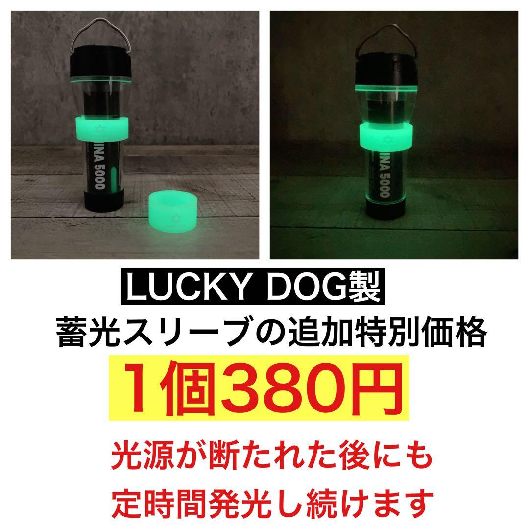 2個　最安値　lumina5000 ルミナ5000 スームルーム　ゴールゼロ　⑦