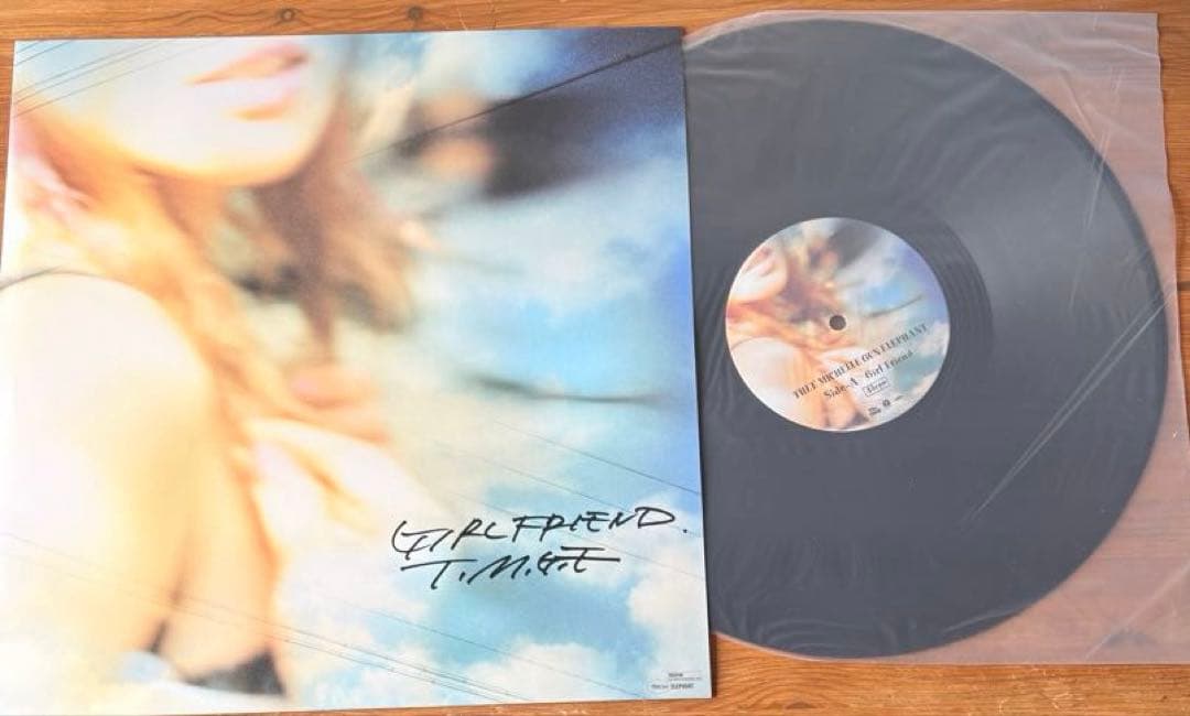 THEEMICHELLEGUNELEPHANT GIRLFRIEND レコード