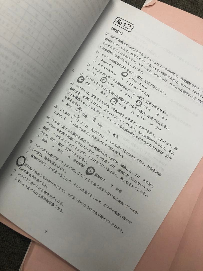 浜学園小6理科　最高レベル特訓　風林火山　補助教材付　2022年度