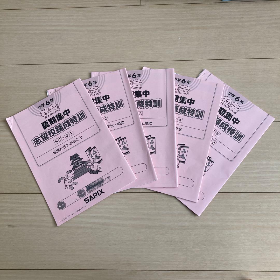 2025年組　サピックス　開成　夏期　志望校別