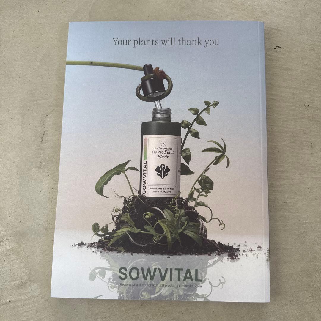 アート・デザイン・音楽 Blumenhaus: Art & Botanical Review