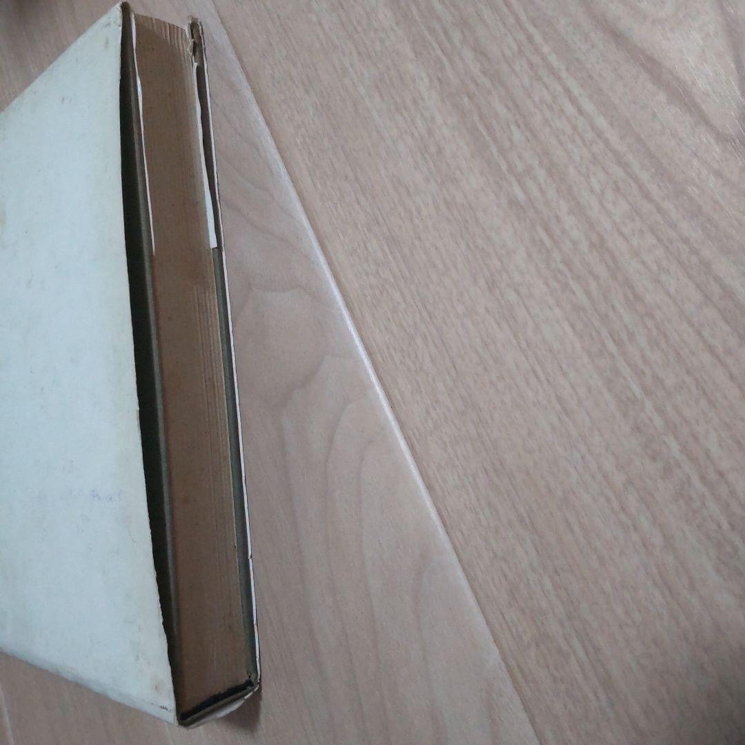 carl thiemann カールティーマン　ドイツ 図録　輸入本　希少　大型本