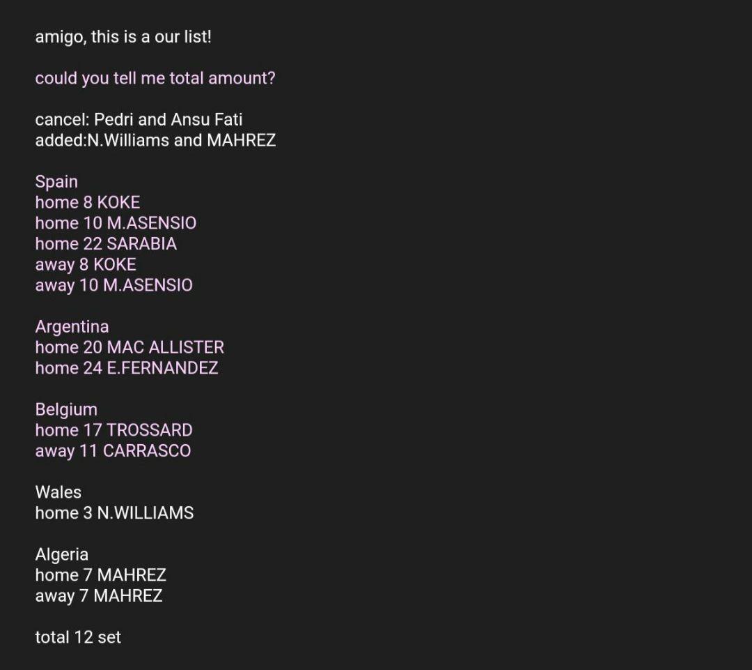 野*勝様 【最終値下げ】激レア正規品　ウェールズ代表　ネコ・ウィリアムズ　ユニフ