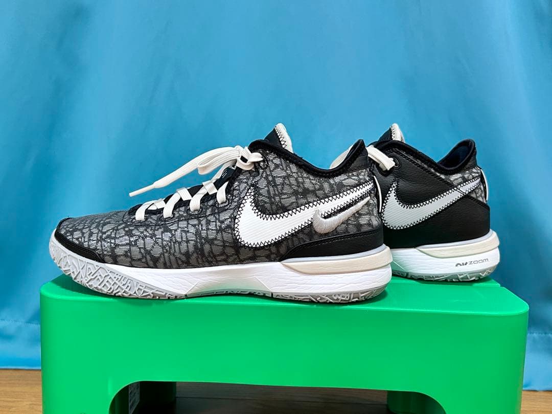 NIKE LEBRON NXXT Genナイキ レブロン　ネクストジェン26cm