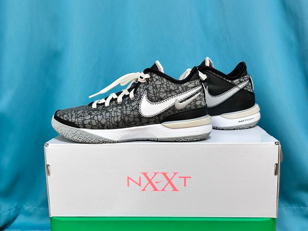 NIKE LEBRON NXXT Genナイキ レブロン　ネクストジェン26cm