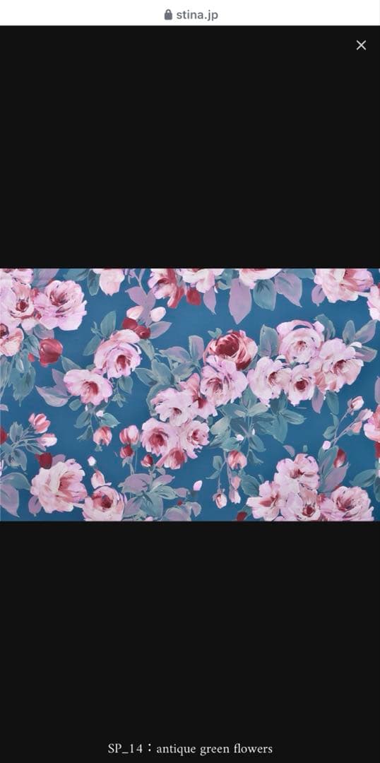 え*こ様 Stina 花柄レオタード L & eleve プルオンスカートセット