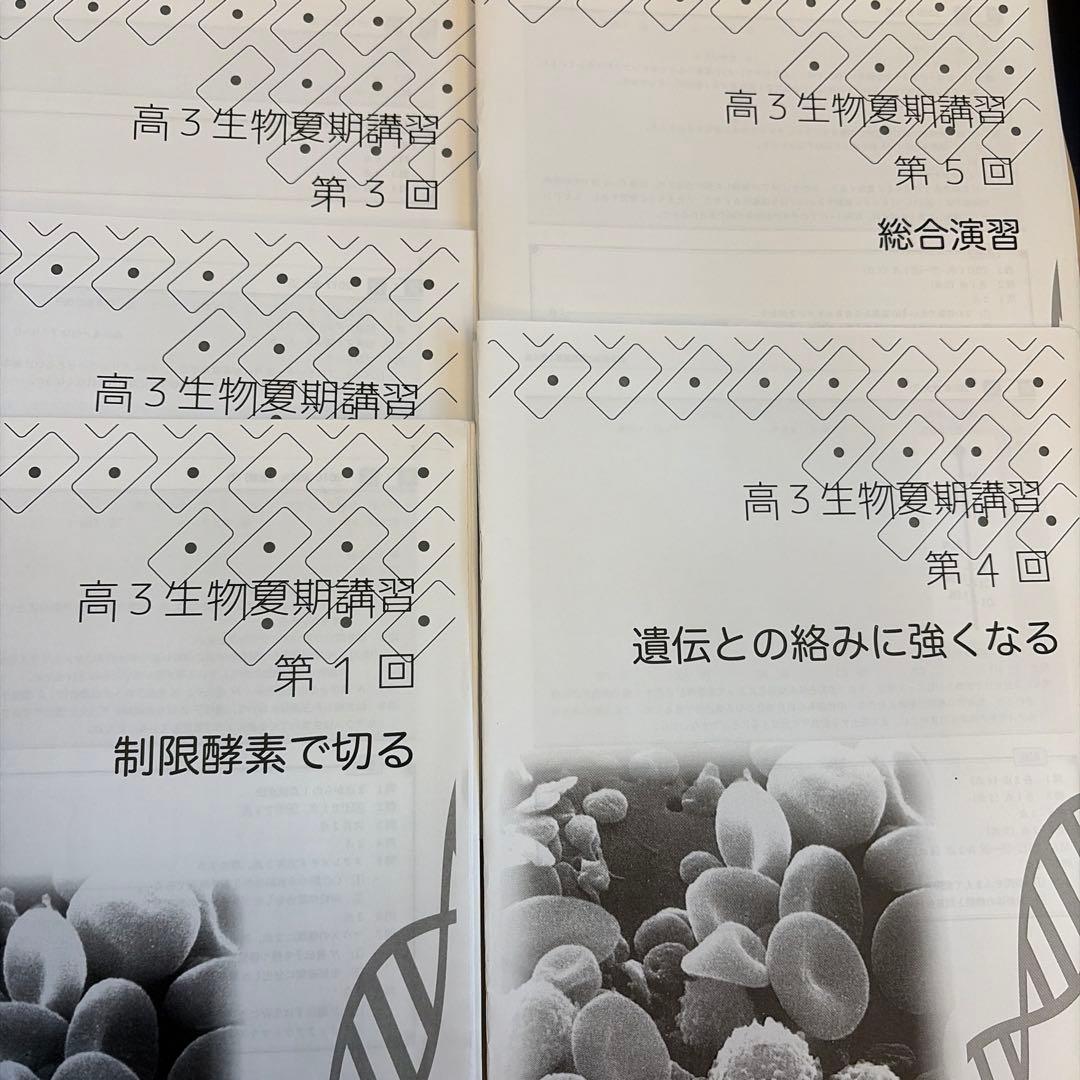 鉄緑会 高3生物 夏期講習 未使用 遺伝子徹底演習
