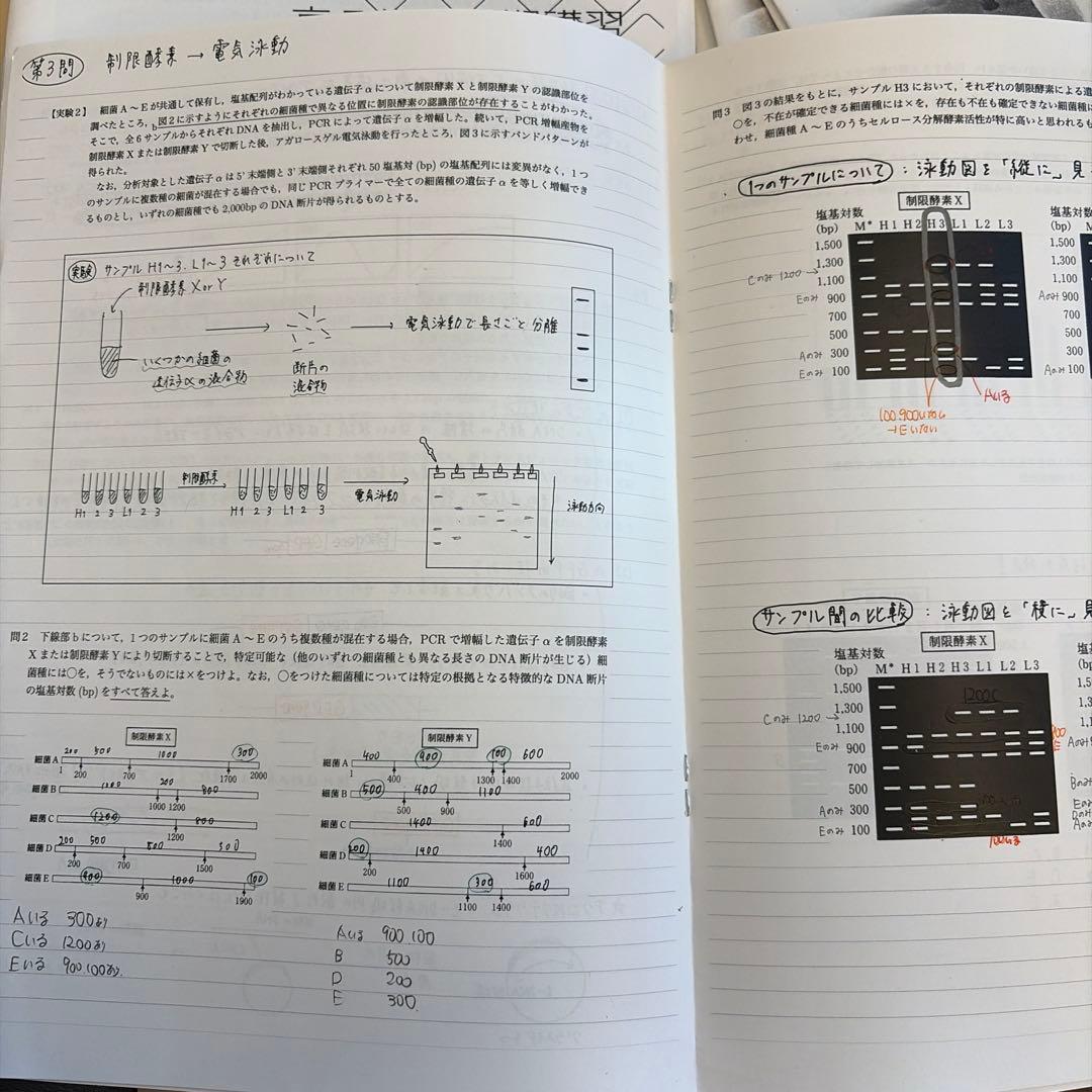 鉄緑会 高3生物 夏期講習 未使用 遺伝子徹底演習