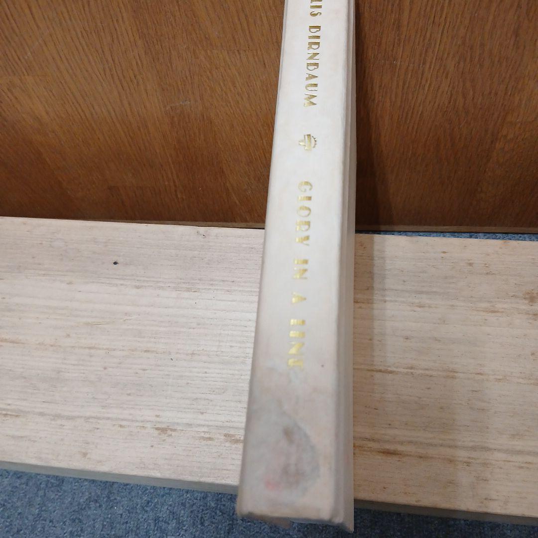 A life of Foujita by Phyllis Birbaum 英語版