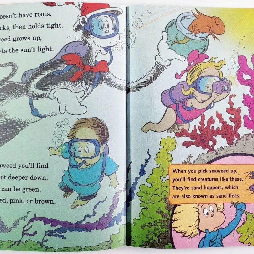 新品 Dr.seuss Science ドクタースース英語絵本 33冊セット