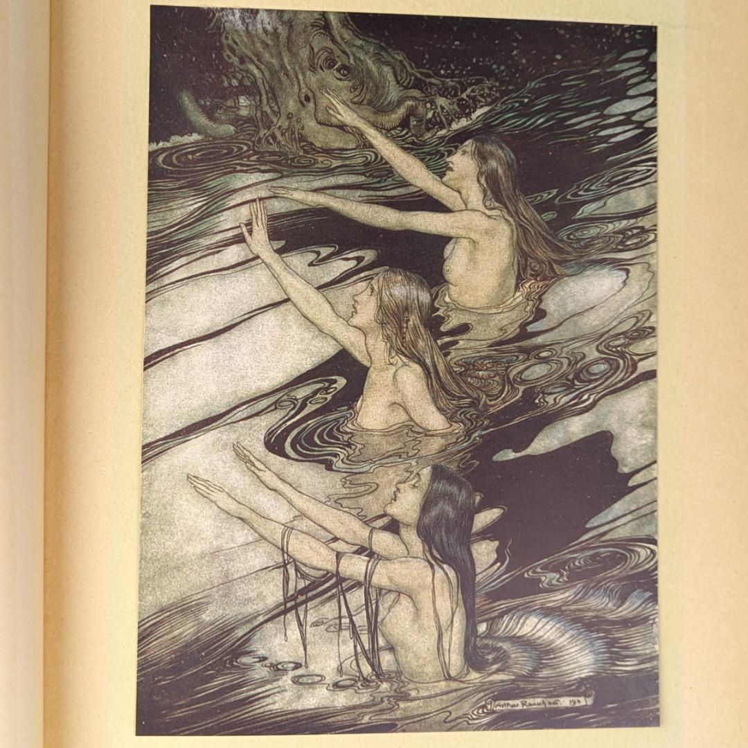 初版 アーサー・ラッカム挿画紋本 カラーイラスト全揃いジークフリート・神々の黄昏