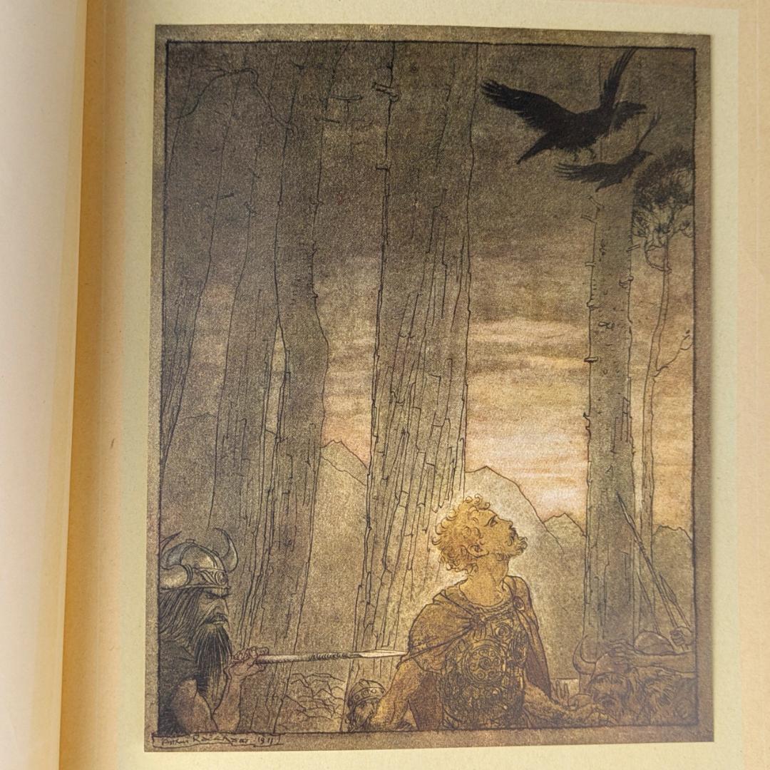 初版 アーサー・ラッカム挿画紋本 カラーイラスト全揃いジークフリート・神々の黄昏