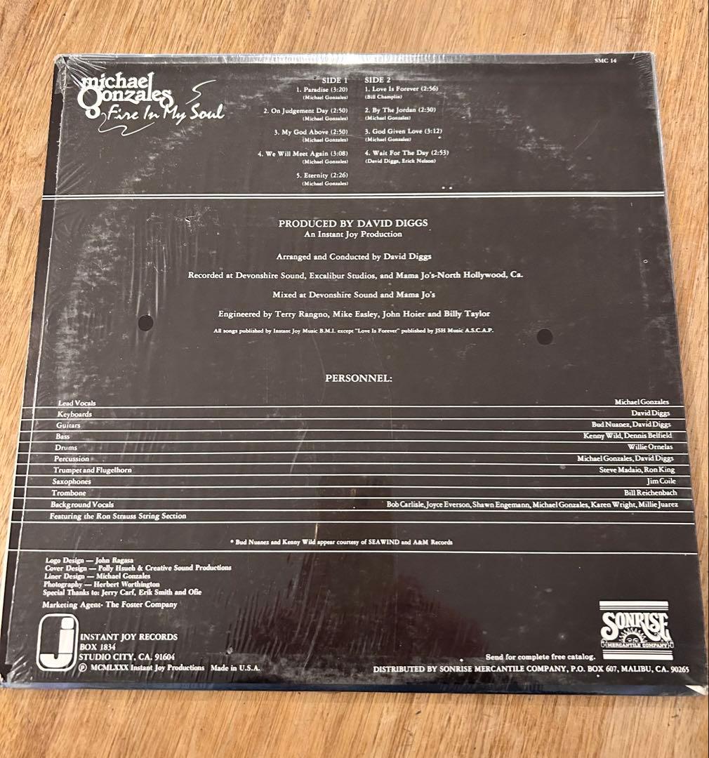 Michael Gonzales Fire In My Soul（オリジナル盤）